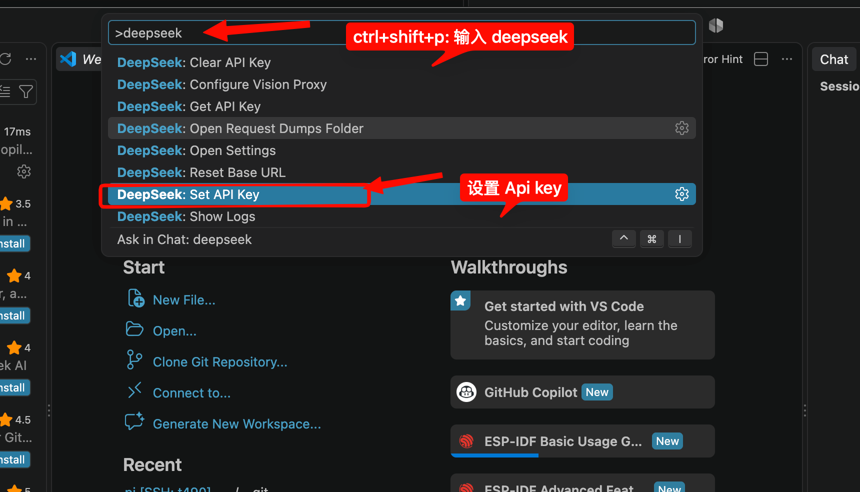 在命令面板中选择 DeepSeek: Set API Key